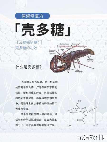 几丁质是关键:拓展几丁质的应用潜力与技术创新探索