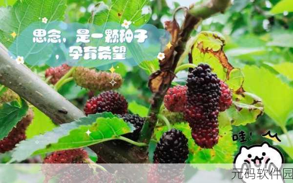 耕种妈妈肥沃的土地美国:开拓耕种,孕育希望:美国土地的丰饶之旅