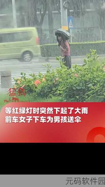 公交车站避雨1~4：在公交车站避雨的妙招：从1到4步轻松应对湿天气