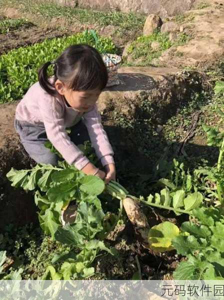 可以和美女拔萝卜的游戏：欢乐拔萝卜：与美女一起探索奇妙农场的冒险