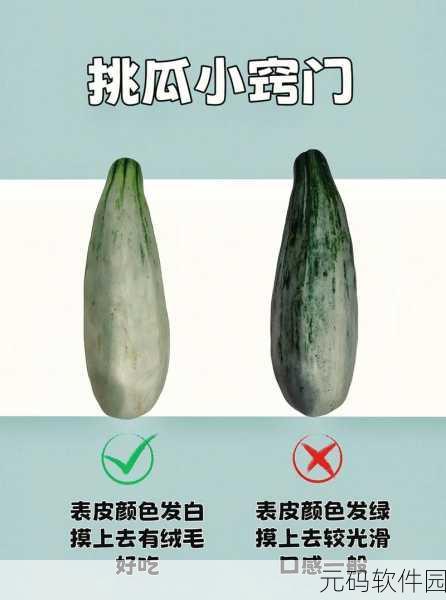 黑料网-黑料吃瓜圣地,解决找瓜难题!155.fun:黑料网:探索真相,揭秘吃瓜新天地155.fun!