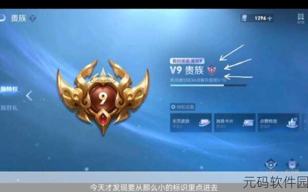 王者荣耀V8贵族特权揭秘,充值攻略与实战技巧大放送!